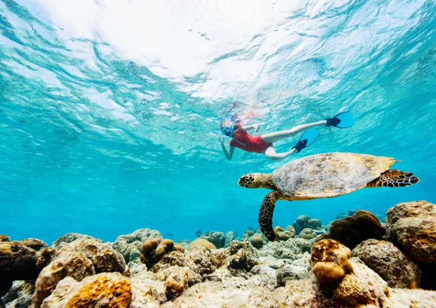 aruba snorkeling tours