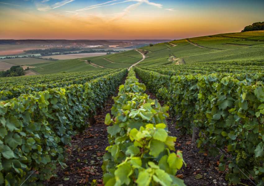 Day Trips from Paris by Train