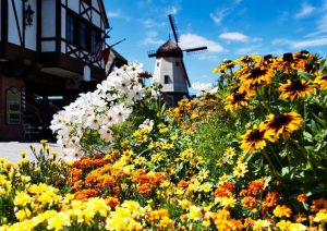 11 Hidden Gems Near Los Angeles - No Hurry To Get Home