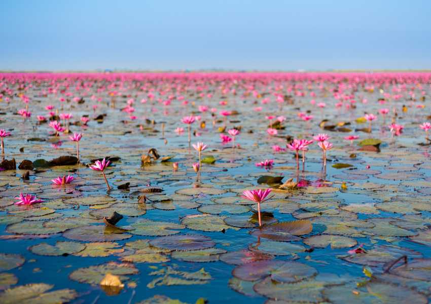 Best Places in Thailand for Solo Travelers