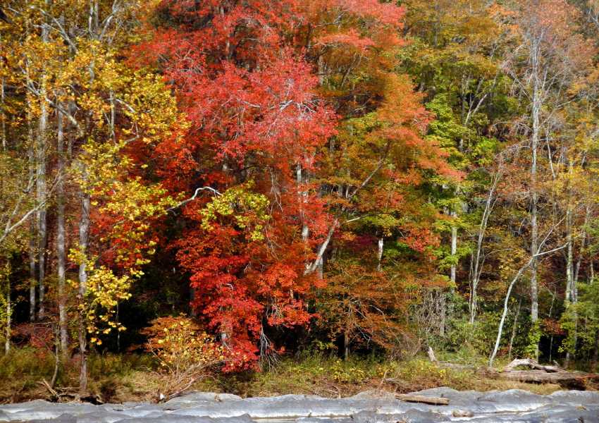 East Coast Fall Vacations