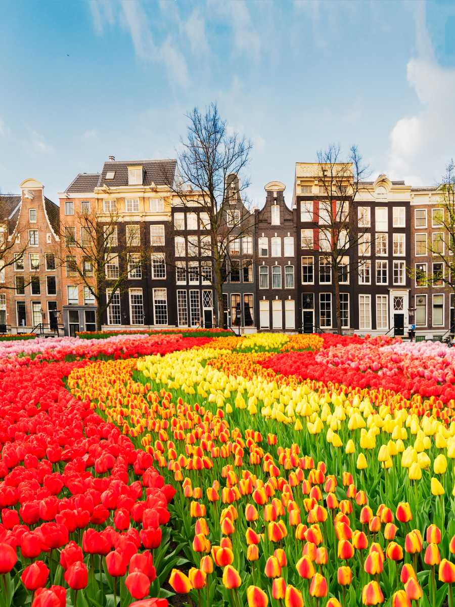 Things to Do in Amsterdam Alone: A Comprehensive Solo Travel Guide