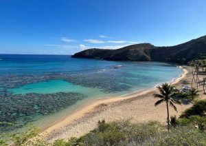 Things to Do in Oahu Alone - No Hurry To Get Home