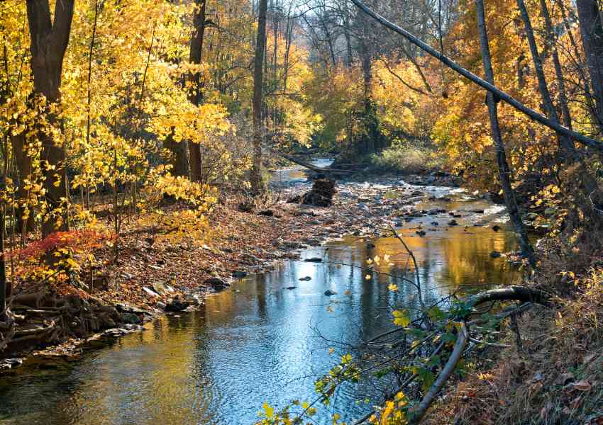 east coast fall vacations