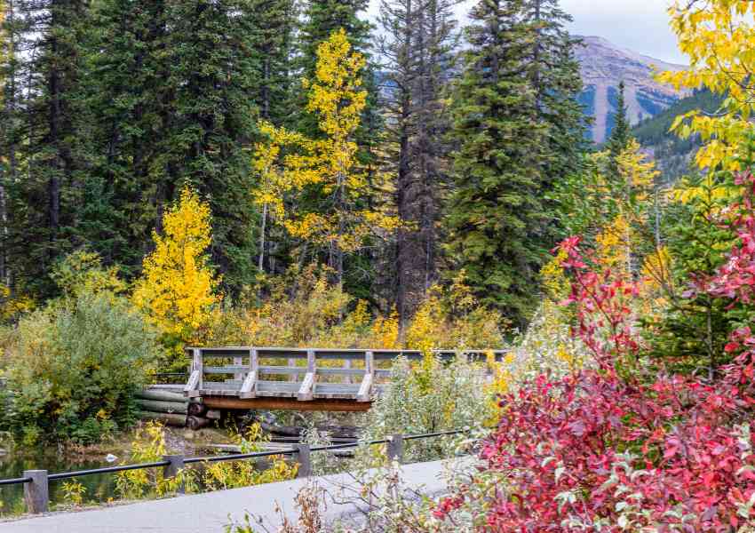 east coast fall vacations