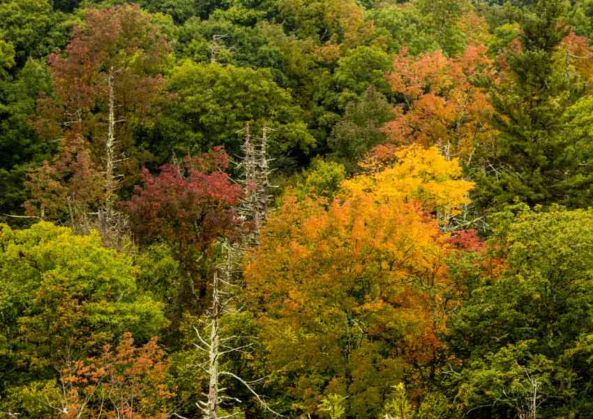 east coast fall vacations