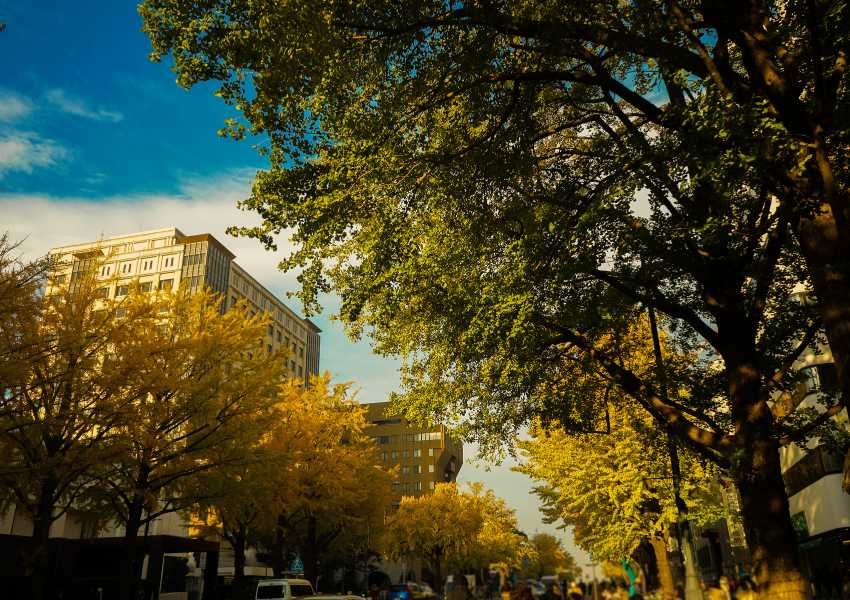 japan autumn itinerary