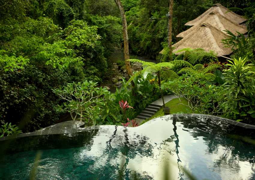 Solo Trip to Bali