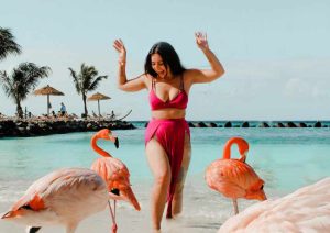 Best Areas To Stay In Aruba 2024 The Ultimate Guide To Where To Stay   Is Aruba Safe For Solo Female Travelers Flamingos At The Beach 300x212 