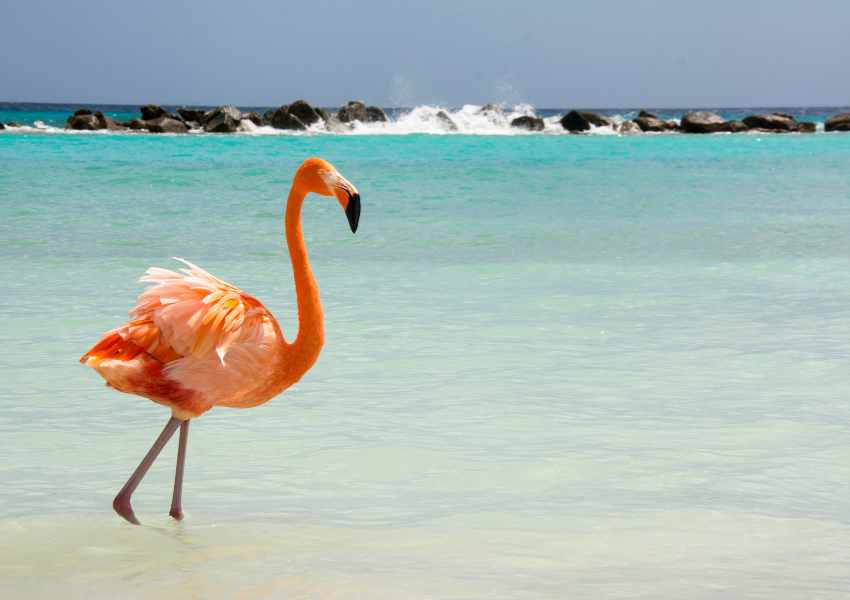 Is Aruba Safe for Solo Female Travelers