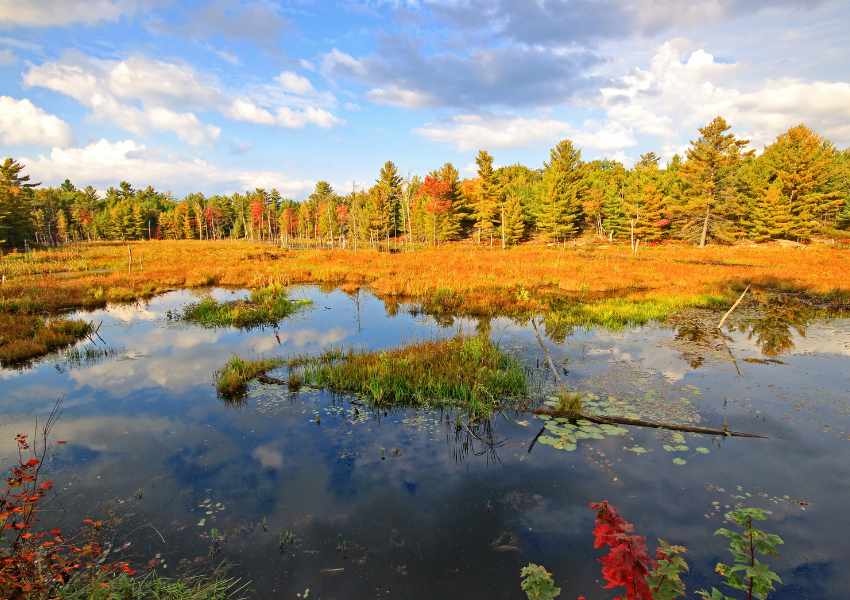 Ontario Fall Getaways
