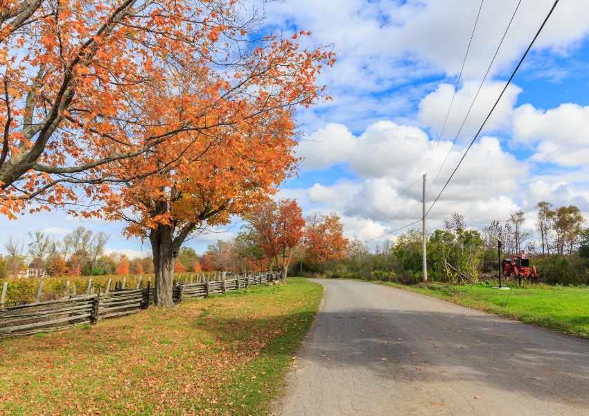 Ontario Fall Getaways