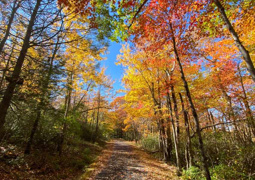 Upstate New York in the Fall: A Quick Guide to Autumn Adventures