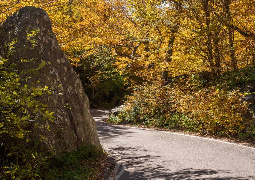 Vermont Fall Road Trips