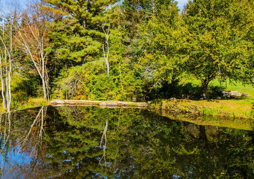 Vermont Fall Road Trips
