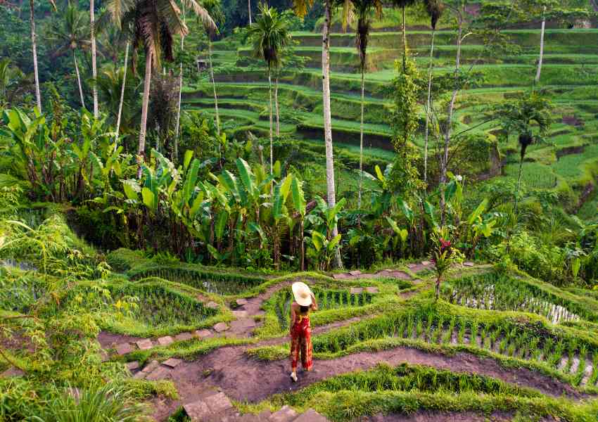 bali instagram spots