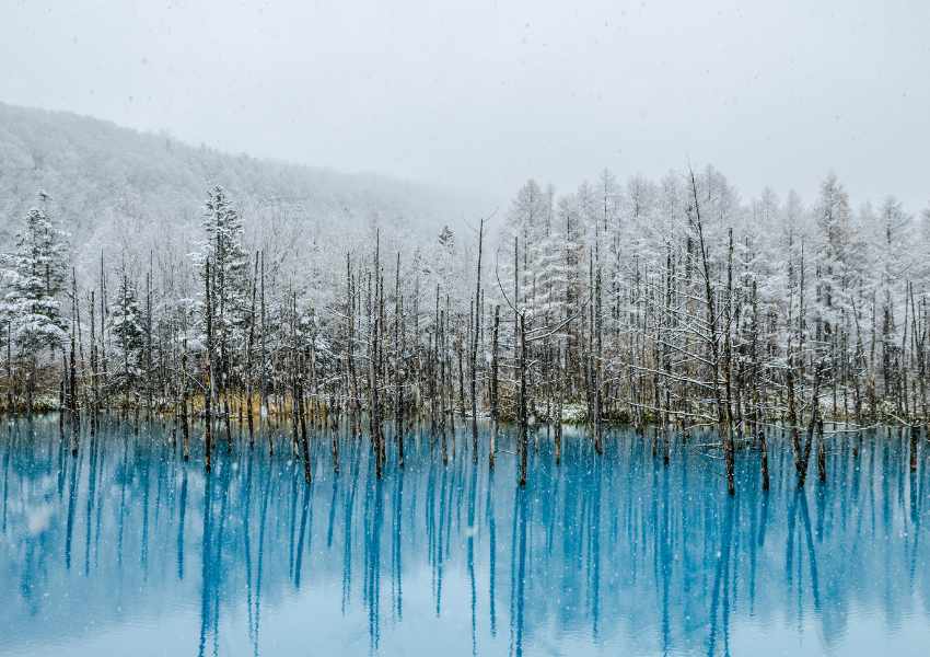japan winter itinerary