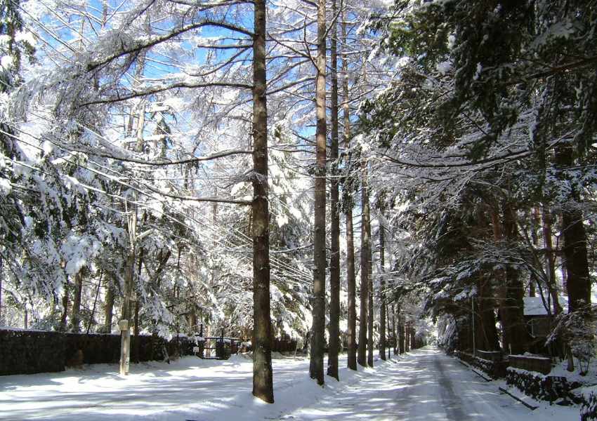 japan winter itinerary