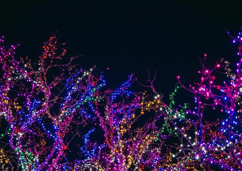Best Christmas Markets in Ireland