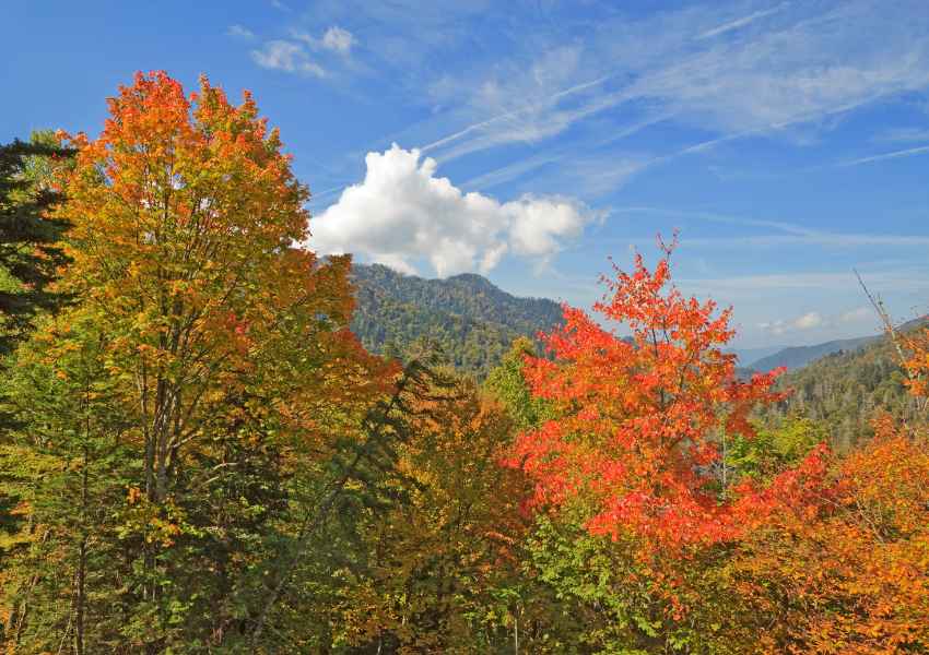 Best National Parks in November