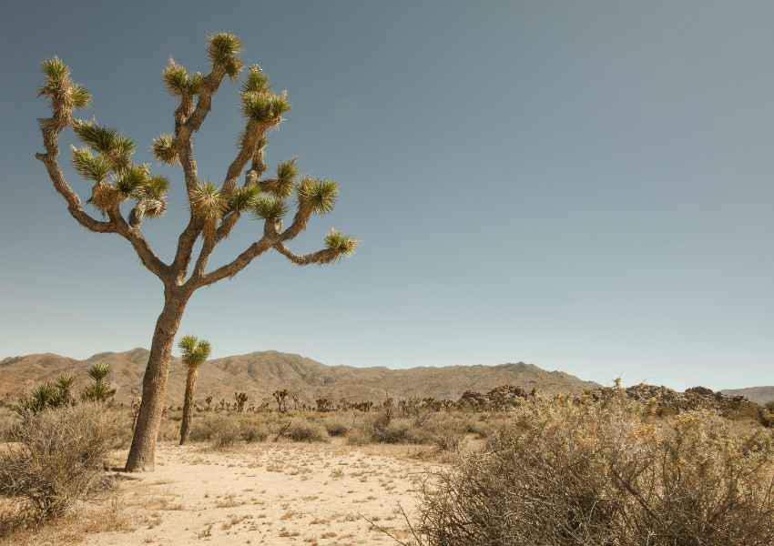 Best National Parks in November