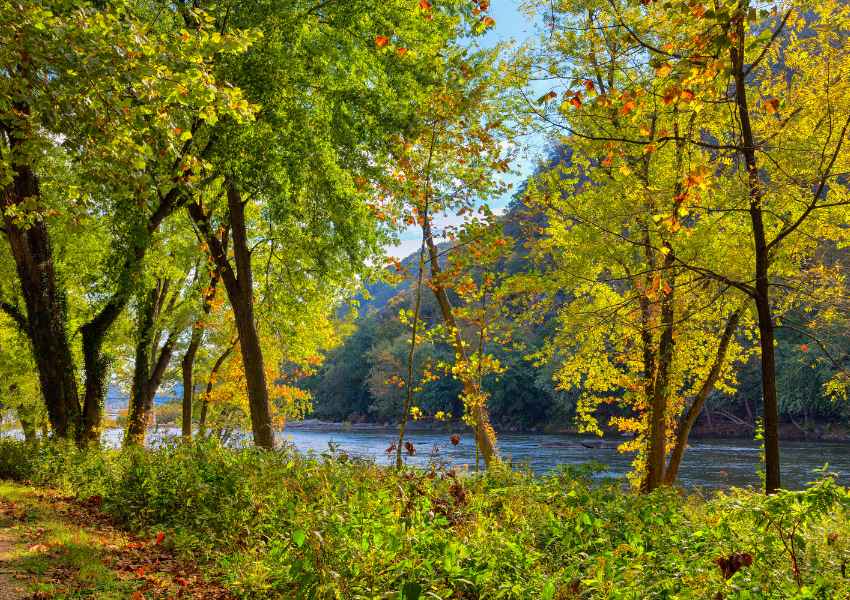 Best National Parks in November