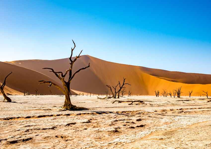Best Places to Visit in Africa in December