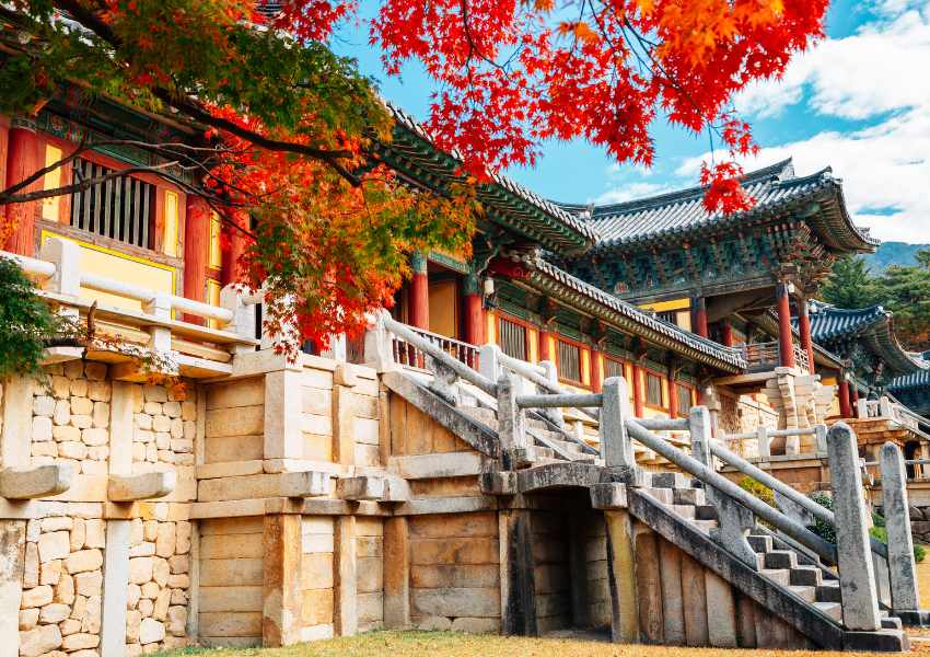 one week in seoul