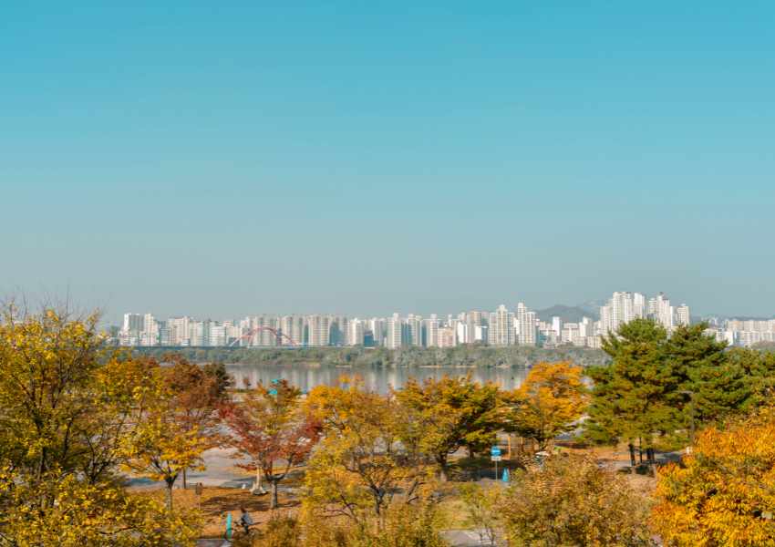 What to Do in Seoul for a Week