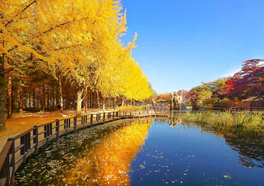 What to Do in Seoul for a Week