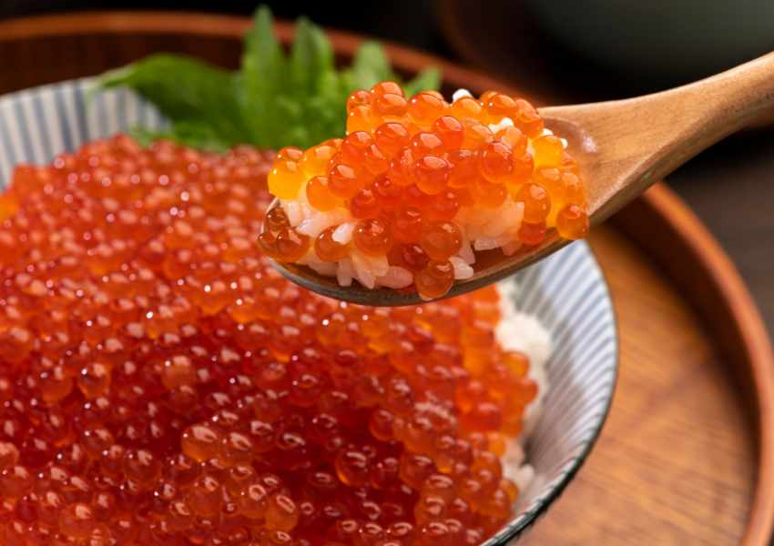 Autumn Food in Japan: 11 Delicious Seasonal Dishes to Try
