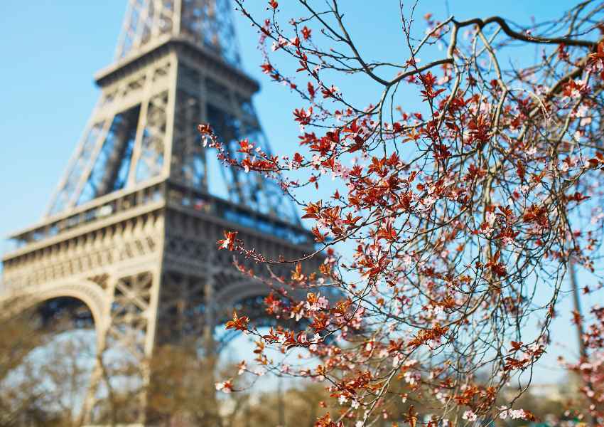 15 Beautiful Places to See Cherry Blossoms in Paris