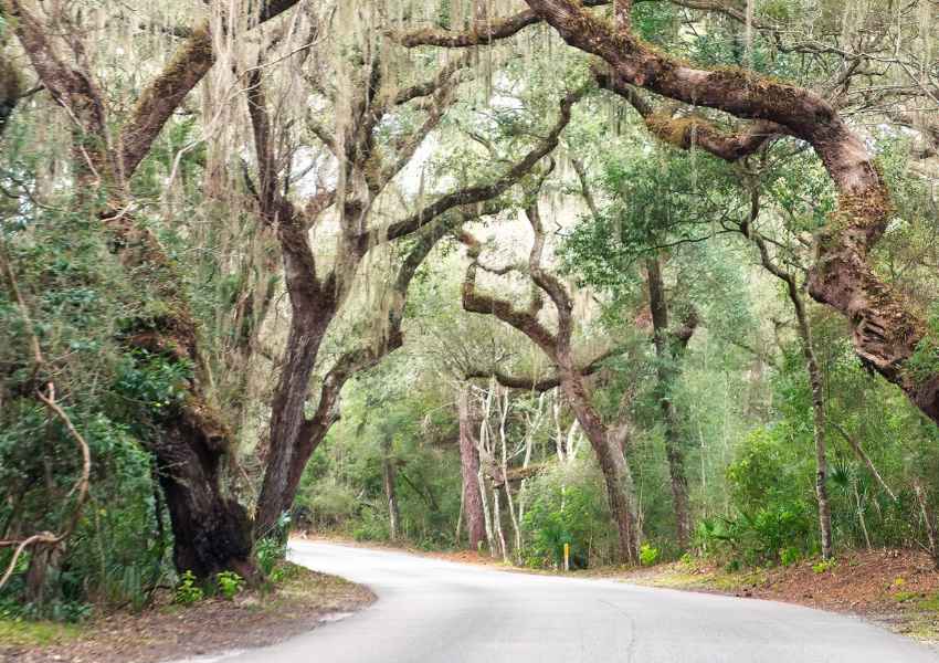 Florida Road Trips: 7 Risks You May Encounter On The Way