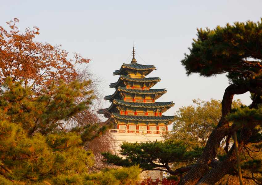 one week in seoul