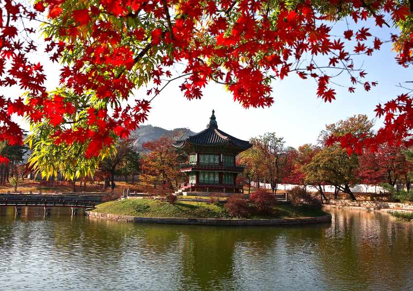 What to Do in Seoul for a Week (23 Must-Visit Sites, Sample Itineraries, and More!)