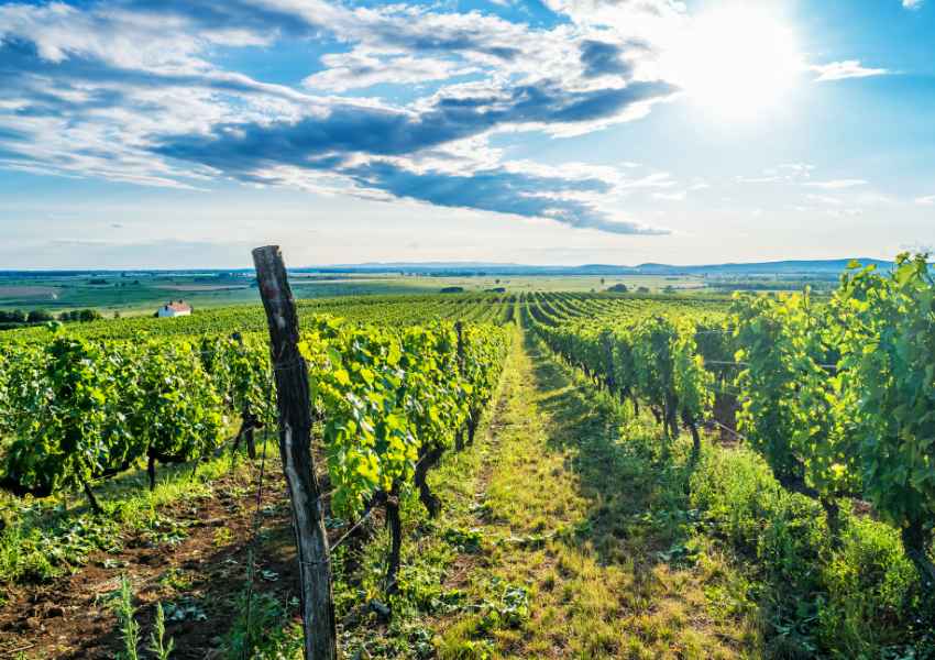 Facts About Hungary