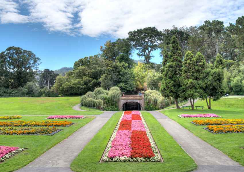 Spring in San Francisco