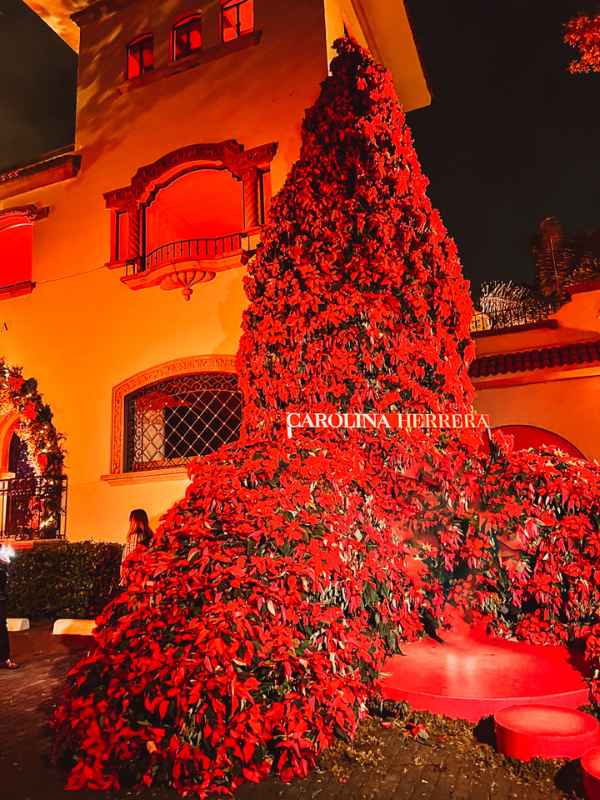 christmas in mexico city