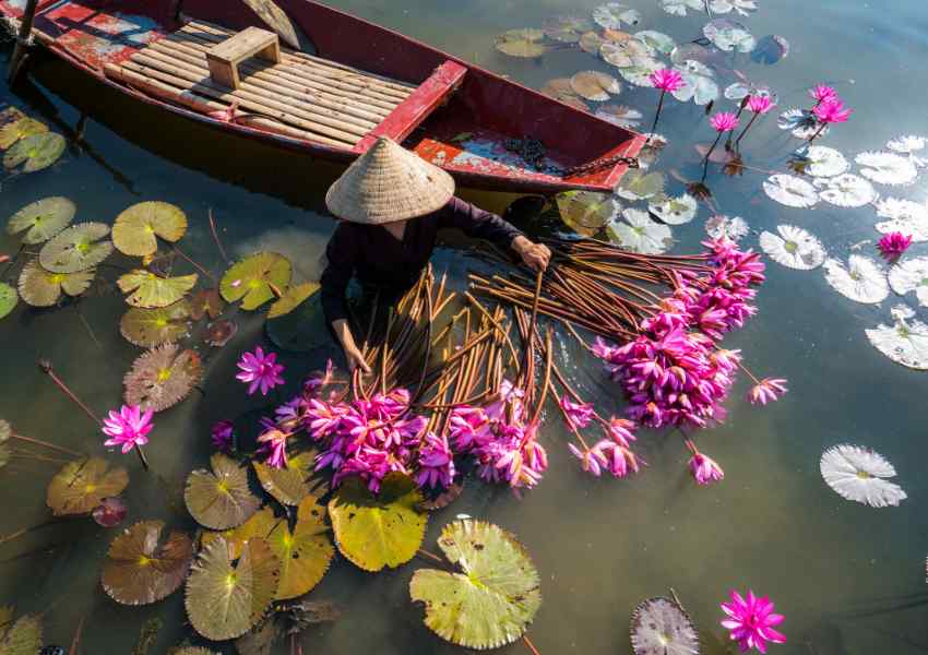 January in vietnam