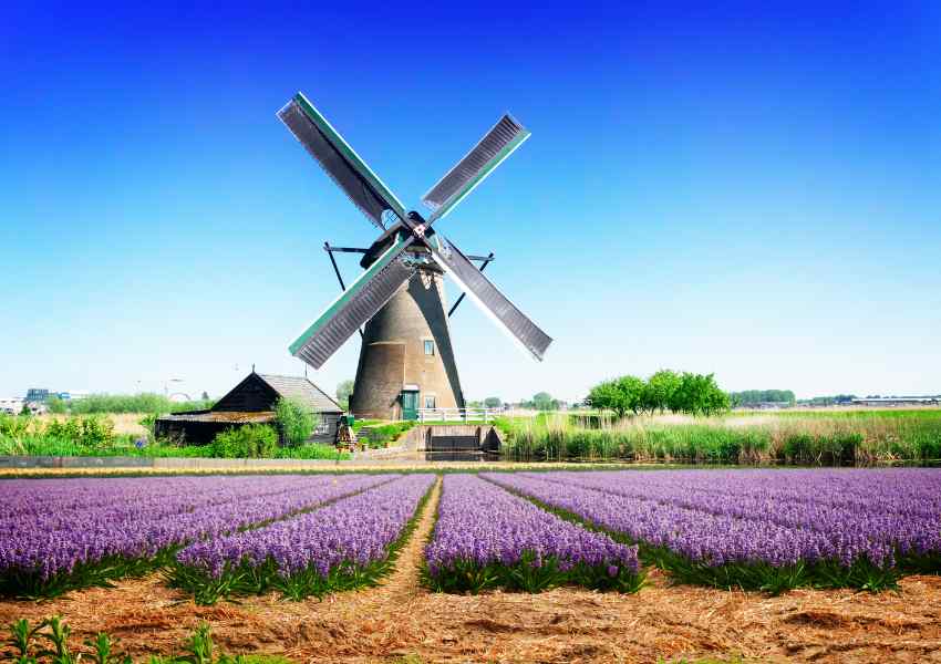 Embarking on a Dutch Odyssey: Top Netherlands Tour Packages for an Unforgettable Experience