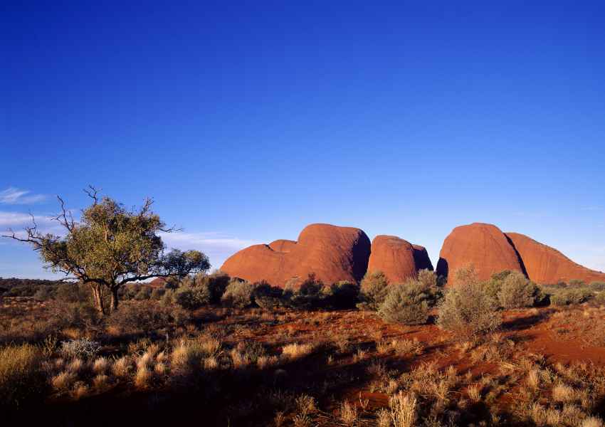 best time to visit uluru