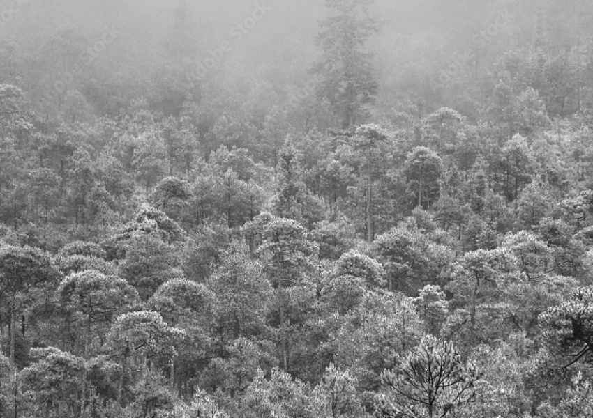 snow in mexico