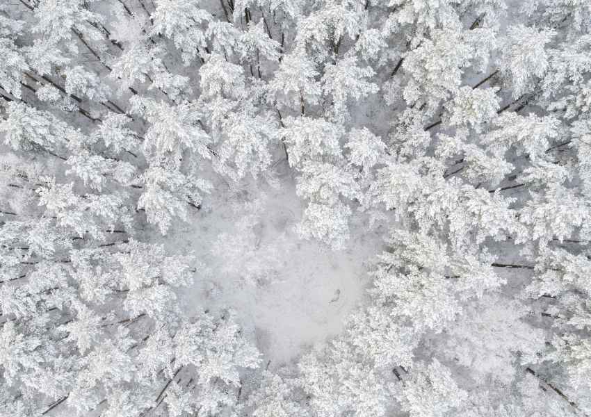 snow in mexico - 
