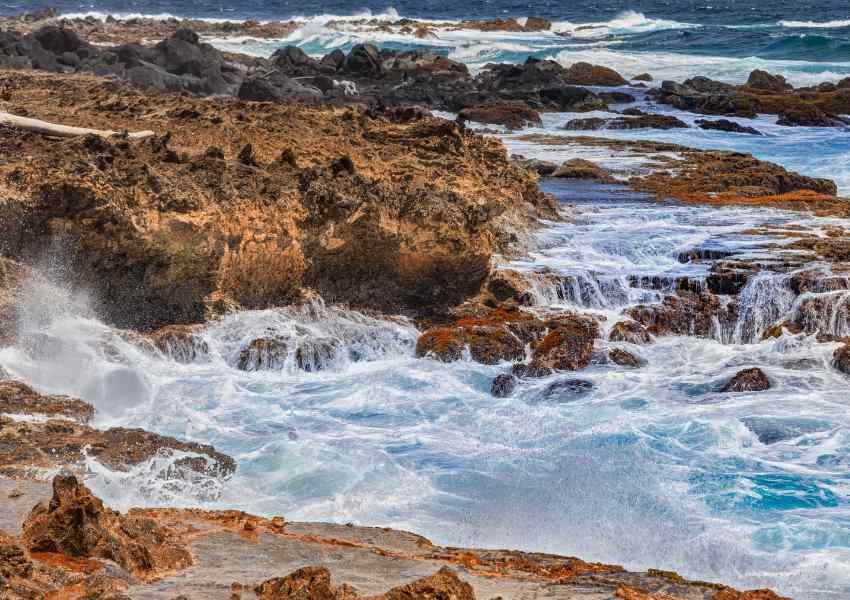 Aruba Jeep Tours