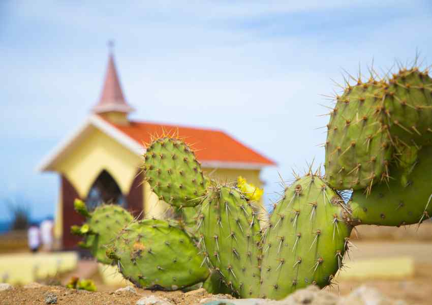 jeep tours in aruba