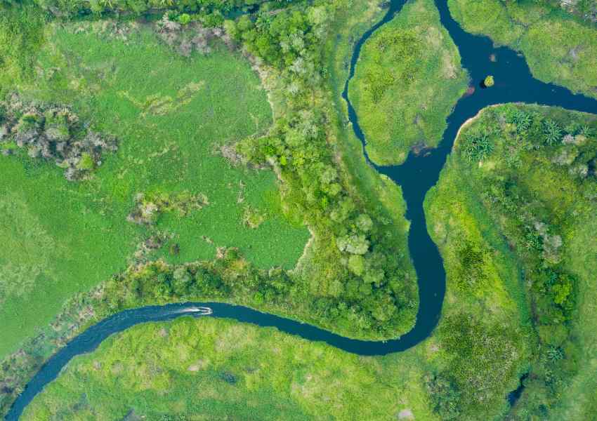 best things to do in borneo
