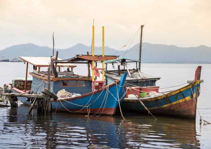 best things to do in borneo