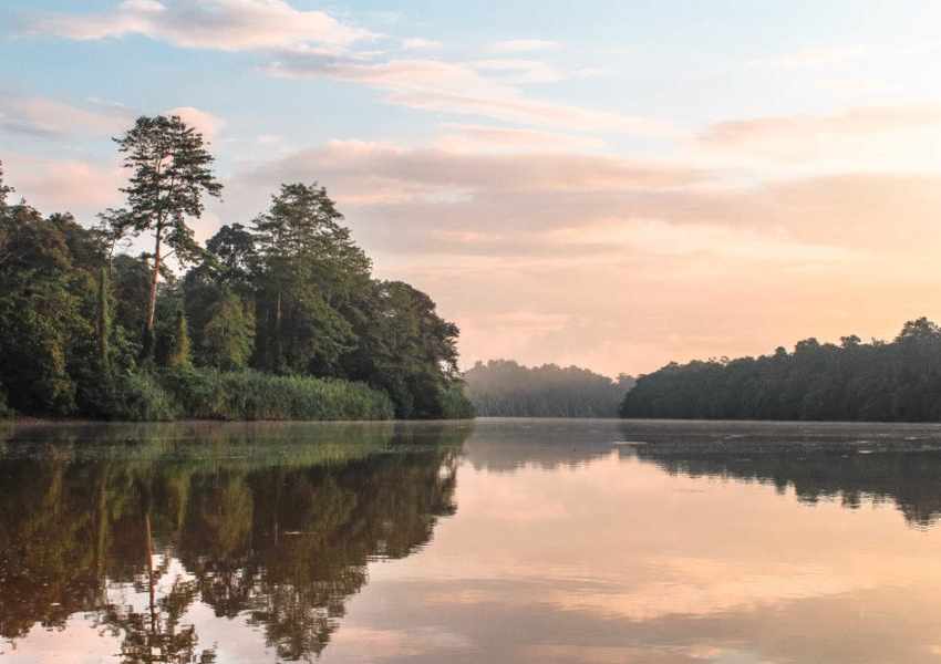 best things to do in borneo