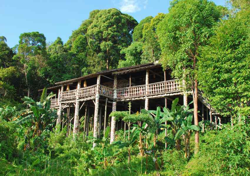 best things to do in borneo