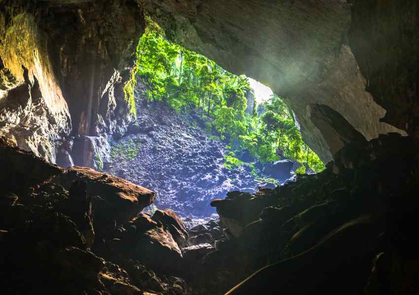 best things to do in borneo
